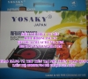 Bếp điện hồng ngoại yosaky p5, bếp hồng ngoại nhập khẩu japan - anh 3