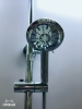 SEN CÂY AM 623 CỦA HÃNG ROYAL VIỆT NAM - anh 3 SEN CÂY AM 623 CỦA HÃNG ROYAL VIỆT NAM - anh 3