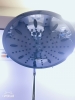 SEN CÂY AM 623 CỦA HÃNG ROYAL VIỆT NAM - anh 4 SEN CÂY AM 623 CỦA HÃNG ROYAL VIỆT NAM - anh 4